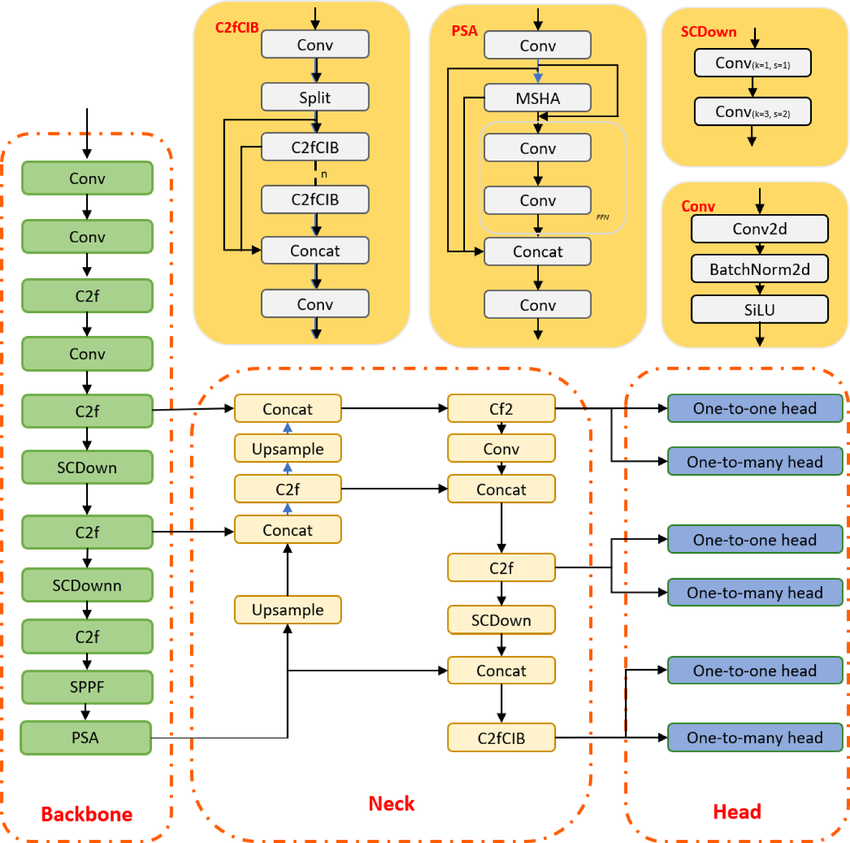 Architecture du modèle YOLOv10