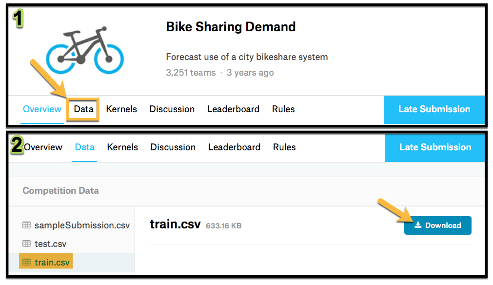 bike sharing data