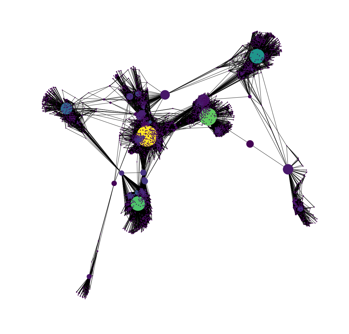 resulting graph