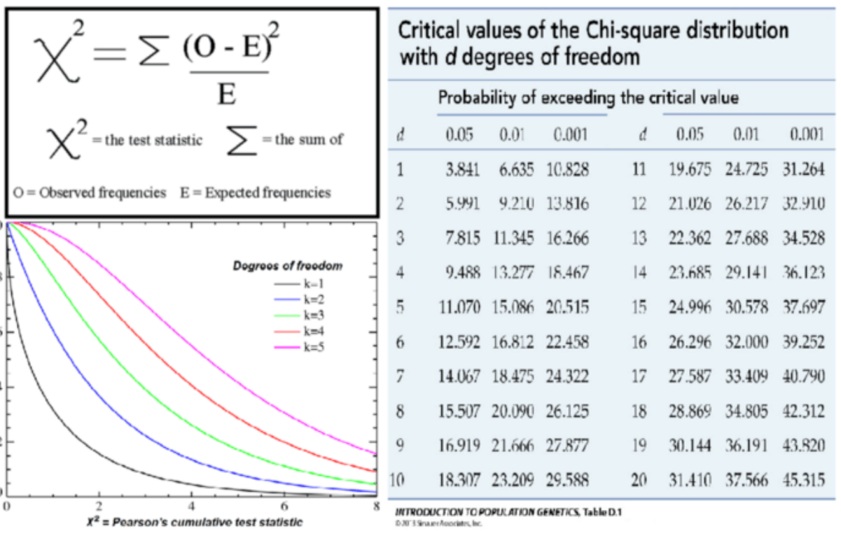 introduction to population genetics