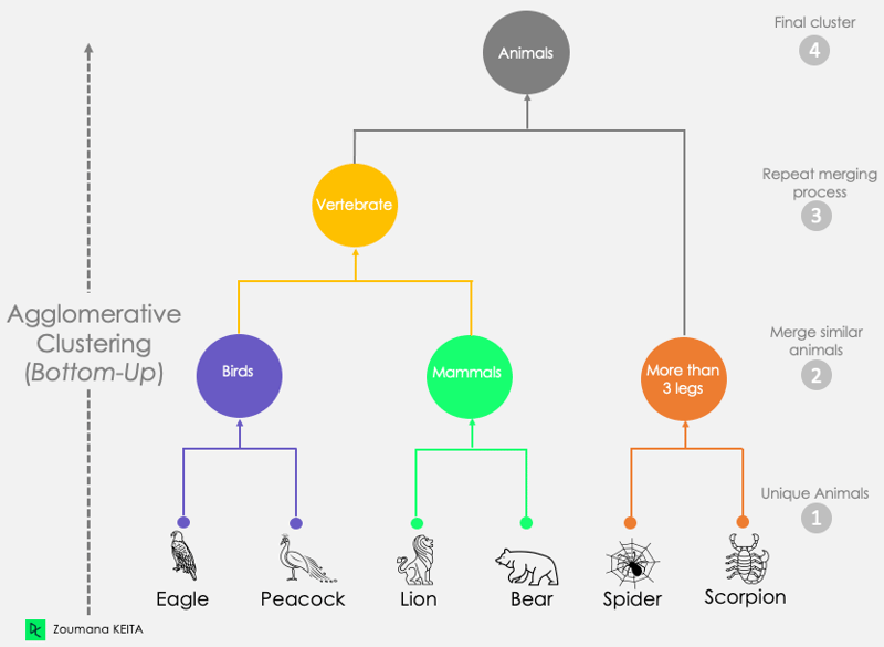 Dendrogram của Cách tiếp cận Phân cụm Kết tụ
