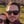Weston Bassler