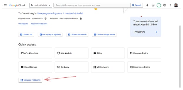 Un altro screenshot della Google Cloud Console