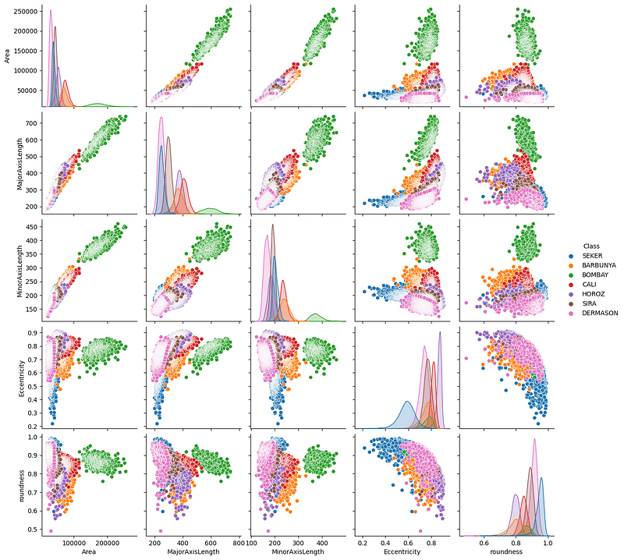 Un pairplot di alcune feature del dataset Dry Beans.